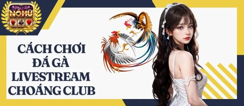 Đá Gà Livestream Choáng Club – Mẹo chơi thắng lớn từ cao thủ